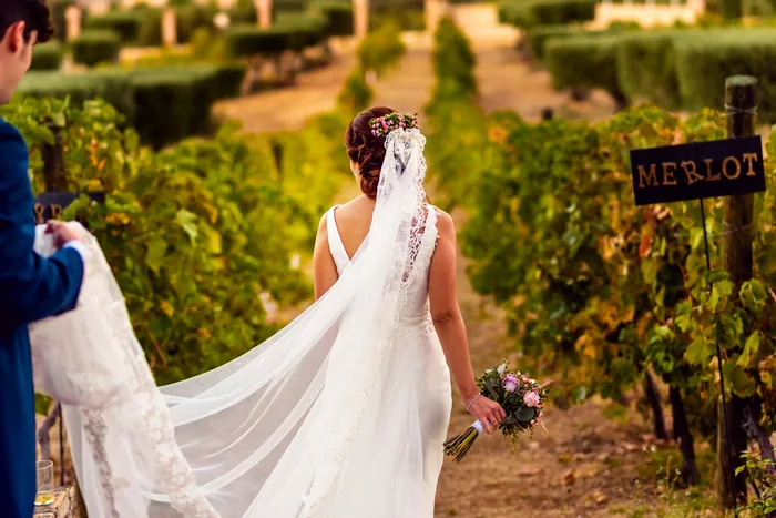Bride walking through a vineyard on her wedding day in Spain