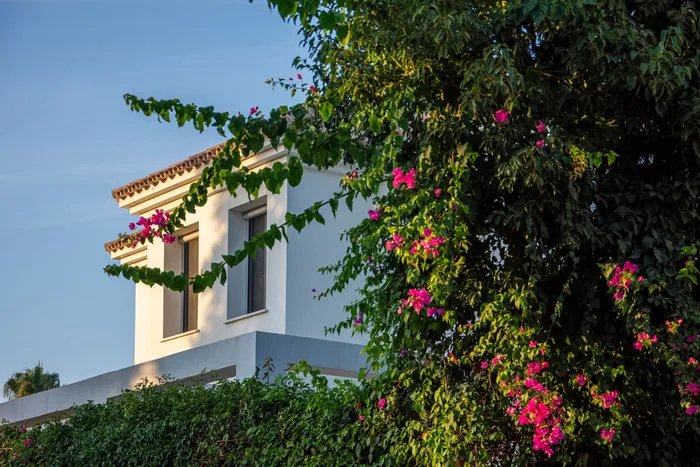 Traditional house with blossoming trees, Andalusia, Spain
