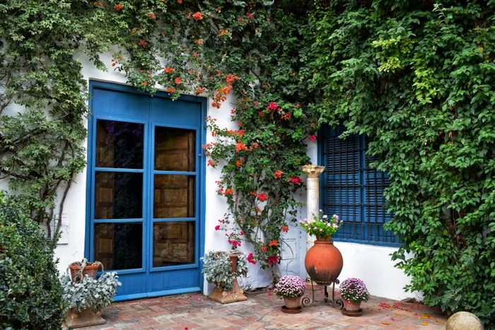 Blue painted door on a whitewashed Spanish building with climbing plants